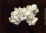 Victoria Dubourg Fantin-Latour Bouquet de Narcisses painting